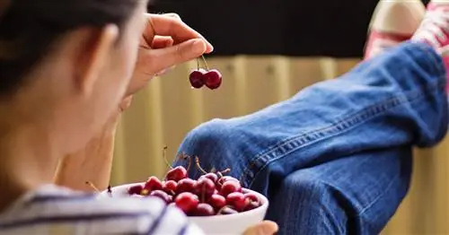 Лучшие колоновидные вишни для балкона, террасы и сада