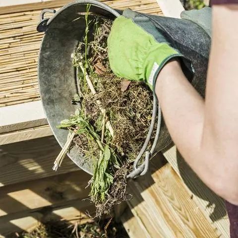 компост из садовых отходов