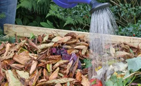 полить компостную кучу