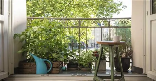 6 органических советов для сада на балконе