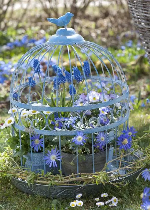 Весенние цветы в птичьей клетке