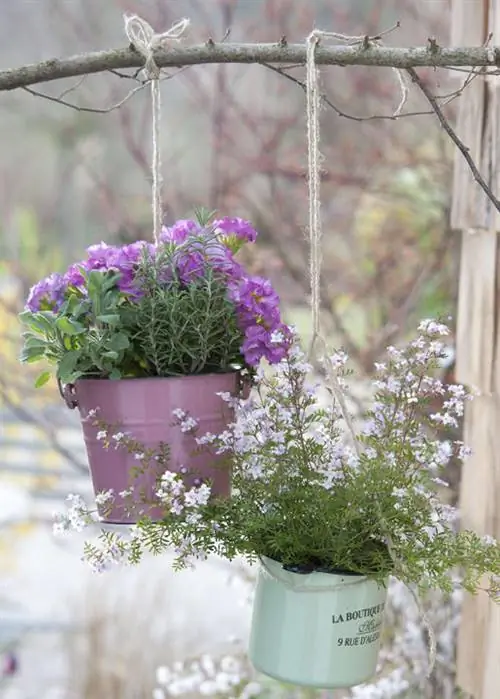 Подвесные корзины с ароматными звездами и травами
