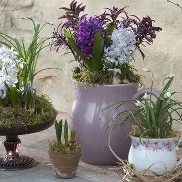 Украшенные весенние цветы