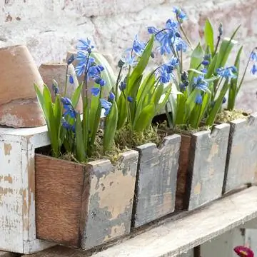 Скиллы в ящиках