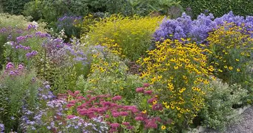 Как подготовить сад к засушливому лету