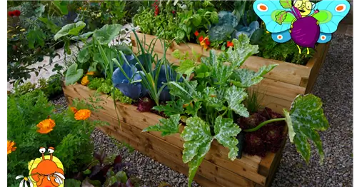 Лучшие растения для грядки