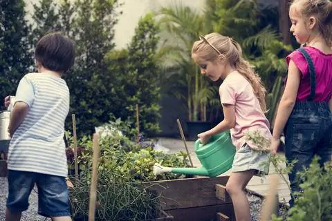 Садовая грядка