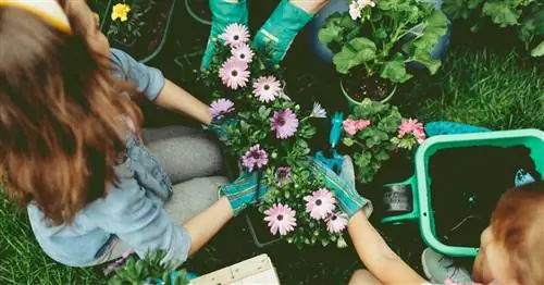 Варианты грядок для школьного сада