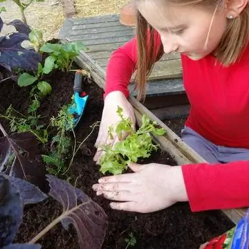 Плотно прижать почву