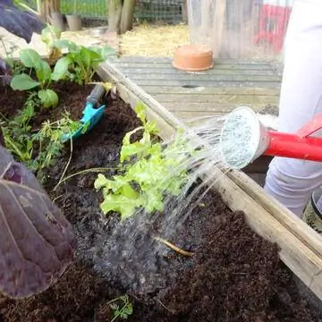 не забудь налить