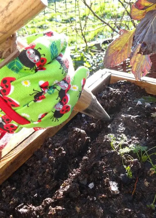 тянуть семенную борозду