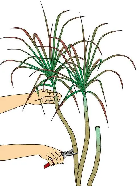 Срезать побеги