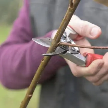 укоротить базу