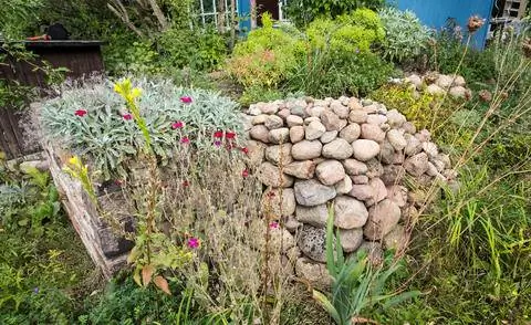 Приподнятая кровать с сухой каменной стеной