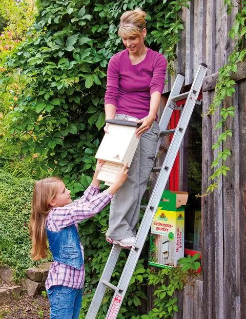 Женщина и ребенок вешают четвертак летучих мышей