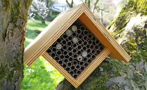 отель для насекомых