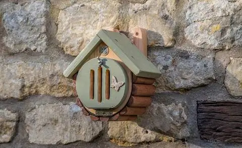 коробка бабочки