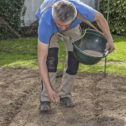 Посев семян газона вручную