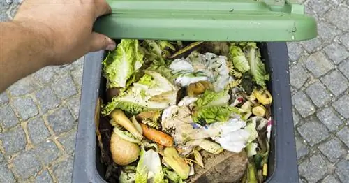 Советы по борьбе с личинками в компостном ящике