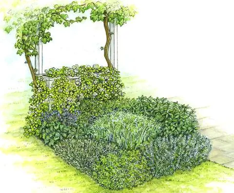 Маленькая садовая грядка