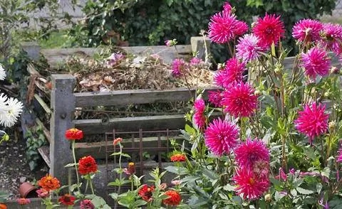 компостное место