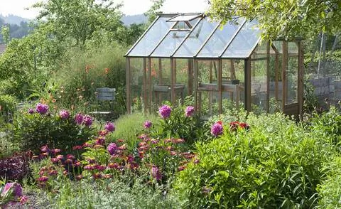 Теплица на солнечном месте в саду