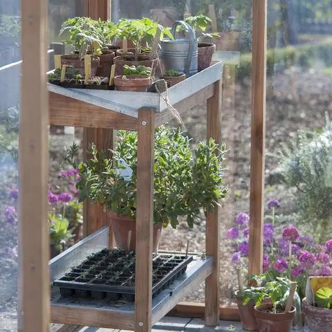 Посадочный стол в теплице