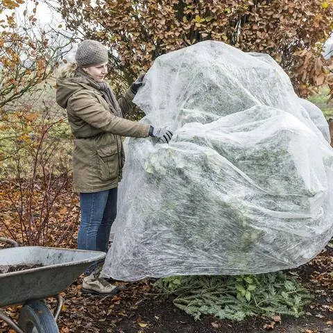 Защитите камелию флисом