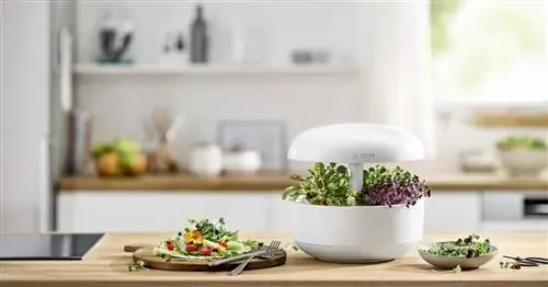 Системы Smart Garden для дома