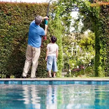 Живая изгородь из мушмулы как экран уединения для бассейна