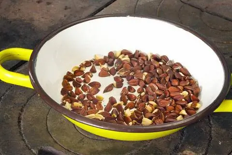 Поджарить грецкие орехи на сковороде