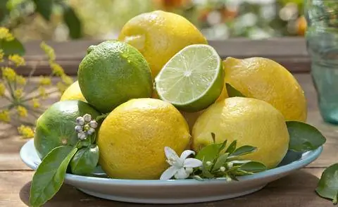 Тарелка с лимонами и лаймами