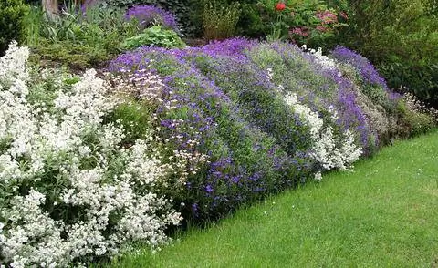 Засаженный склон в саду