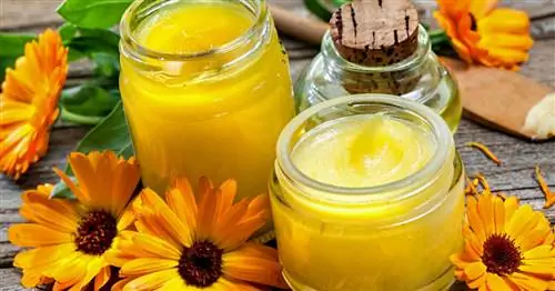 Сделайте свою собственную натуральную мазь для ран