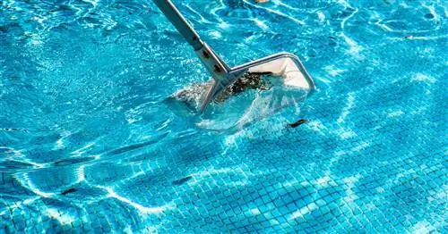 Для чистой воды: правильно ухаживайте за бассейном