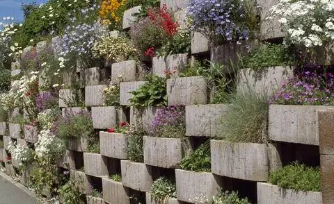 Подпорная стенка из растительных камней