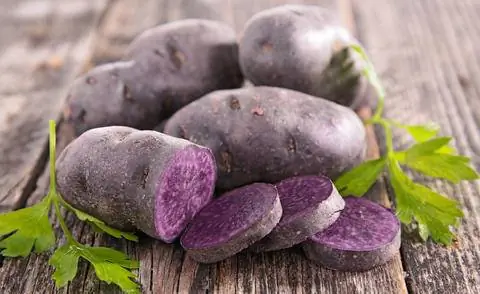 Синий сорт картофеля 'Вителотте'