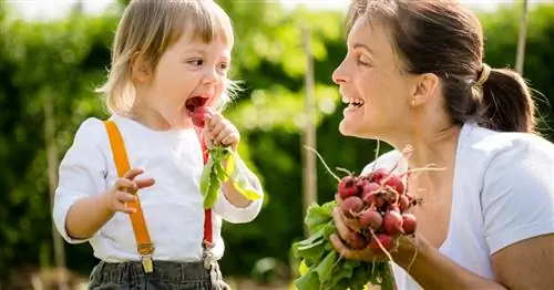 Садоводство с детьми: познание природы через игру