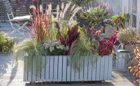 Мобильные плантаторы как ширма для уединения