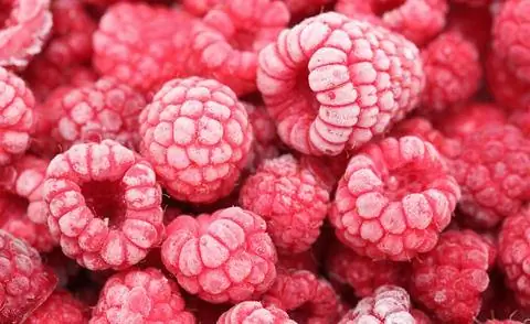 Замороженная малина