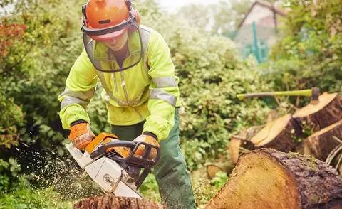 Работа с бензопилой