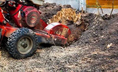 Удаление пня с помощью измельчителя пней