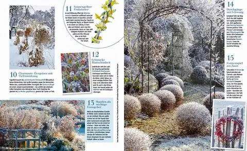 Отрывок Очарованные морозом и снегом