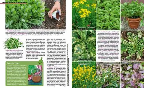 Чтение отрывка зимний кресс