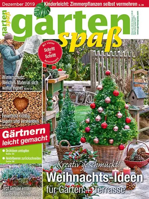 Садовые развлечения - выпуск за декабрь 2019 г.