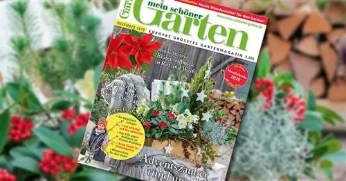 Спешите в киоск: наш декабрьский номер уже здесь