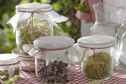 Баночки для рассады своими руками