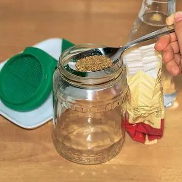 Поместите семена в стакан для проращивания