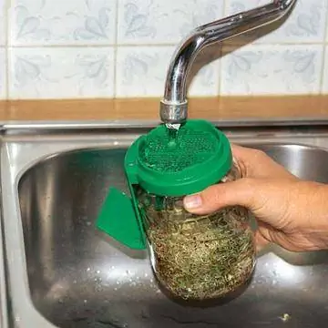 Тщательно промойте ростки