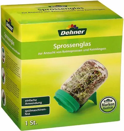 Стакан для ростков Dehner, Ø 8 см, высота 16 см, стекло